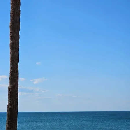 Frente Al Mar *